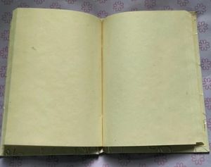 A5 Diary