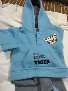 Cute Tiger Hoodie