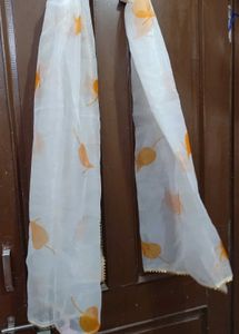 My Stunning Organza Dupattas At Your Service