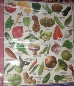 Hindi Varnamala, Vegetables Fruits Animals Chart
