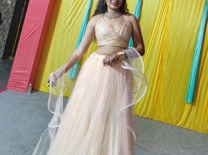 Bollywood Style Crop Top Choli