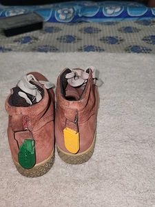 Casual Shoes