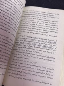 It Ends With Us - Colleen Hoover