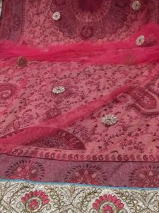 beautiful Saree Dupatta