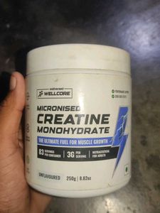 Wellcore Micronized Creatine Monohydrate Half Used