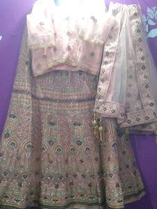 Elegant Embellished Lehenga Choli Set