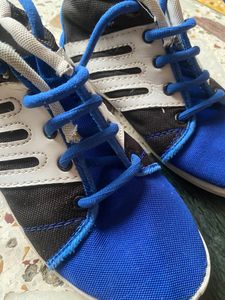 Shoes Blue Stylish