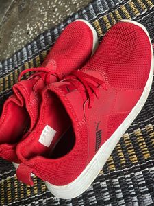 Original Branded Puma Shoes