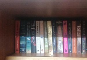 Mixed Fiction Lot of 58 books