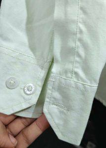 U.S. Polo Assn. Light Green Shirt