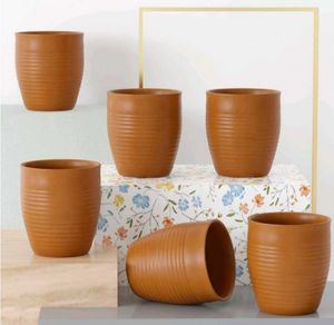Somny Kullhar Ring (210 MI Each) (Pack Of 6)