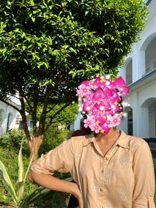 Indo Western Beige Shirt