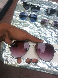 Sunglasses Collection