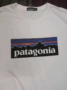 Patagonia Graphic Tee