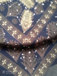 Elegant Black Saree With White Stones On Pallu