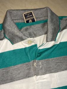Daily Wear polo T-Shirt For Men