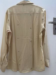 Georgette embroidered beige shirt