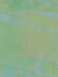 Black Oxidised Hoop Jhumki Earrings | Lightweight