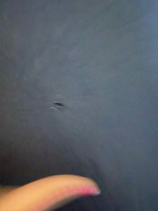Shein little Black Dress