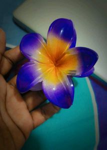Colorful Flower Hair Clips Set Of 2