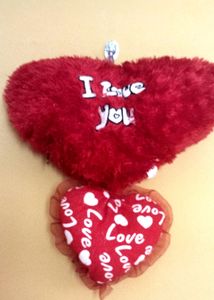 Two Heart Shape Teddy 🌸💗