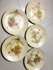 Acrylic Dinnerware