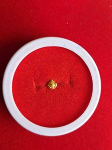 Gold Nose Pin