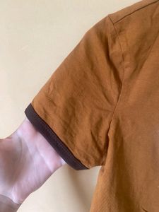 Cider Eternal Growth Crop Top