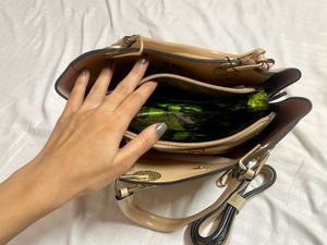 Elegant Beige Handbag