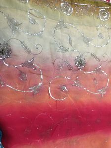 Embroidered multi colored saree