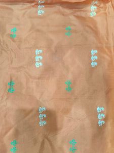 Elegant Orange Ethnic Saree