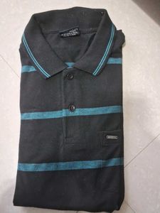 Striped Polo T-Shirt
