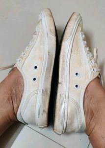 Superdry Athletic Co. Canvas Sneakers