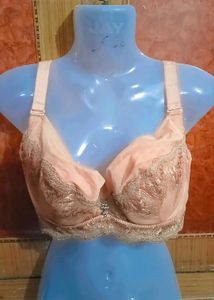 Light Padded Lace Detail Bra