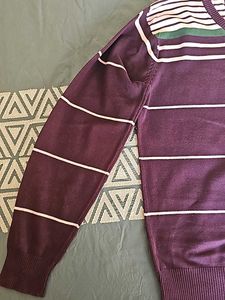 Men Purple Sweater