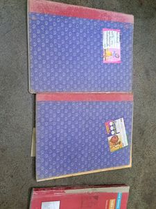 Class 10 Sst ( History, Civics, Geo) Books