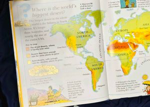 Why I Wonder Children Book Series