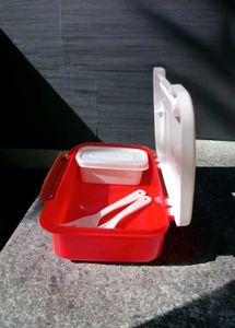Regular Kids Tiffin