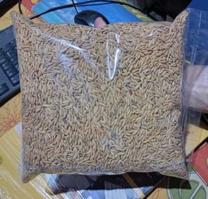 Paddy Seeds For Pooja And Germination 2 Kg.