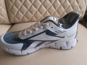 Reebok Zig Dynamic White Sky 2