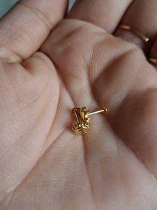 Gold Stud Earring 22crt Gol