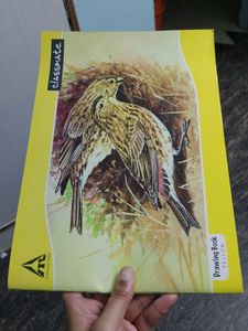 Classmate Yellow Drawing Book
