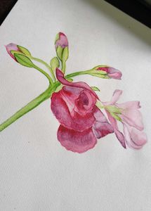 Floral Watercolor Painting