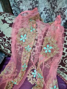 Embroidered Lehenga Choli Set