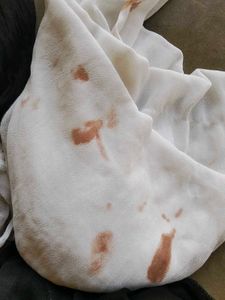 Assorted Women&#39;s Scarves/Dupattas