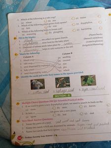 Learning Science, Grade 5 - Cordova