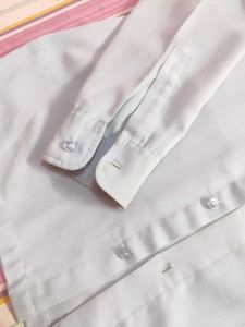 Light Blue Formal Shirt