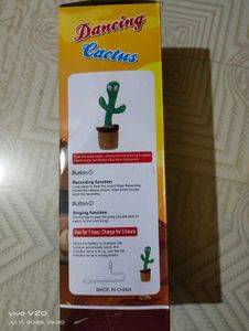 Dancing Cactus Toy
