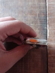 Broken Smartwatch - For Parts