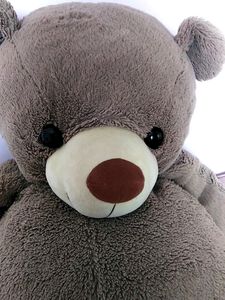 Big Broun Teddy
